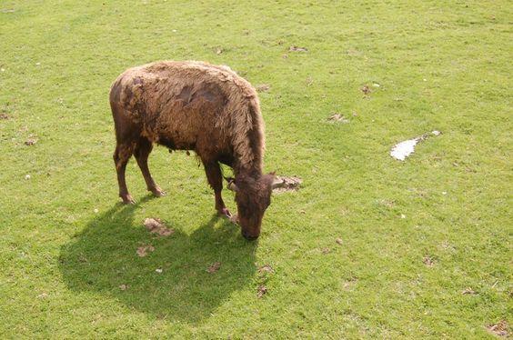 DSC_0078 [50%] [50%].JPG